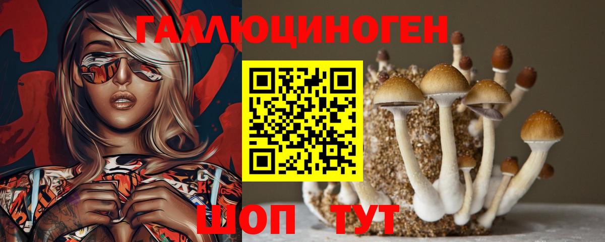 Красноармейск  Галлюциногенные грибы Psilocybe  Псилоцибиновые грибы MAGIC MUSHROOMS  Вход с VPN 